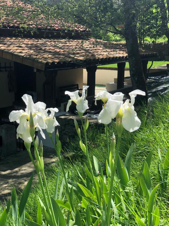 Casa Rural En Plena Naturaleza Lic Uvtr1524 Eguillor Exterior foto